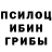 Галлюциногенные грибы Psilocybe sadeceeness