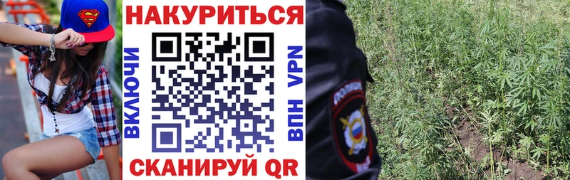 где купить наркотик  Пролетарск  Конопля Ganja 